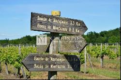 Sumptuous Chartreuse estate with vineyard near Saint-Emilion