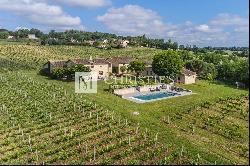 Two fully renovated stone homes with hobby vineyard near Saint-Emilion