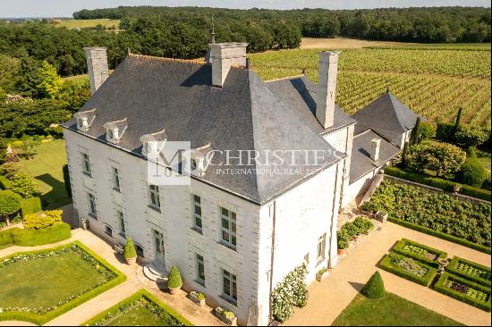 Magnificent Loire valley manor with stunning park and vineyard