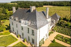 Magnificent Loire valley manor with stunning park and vineyard