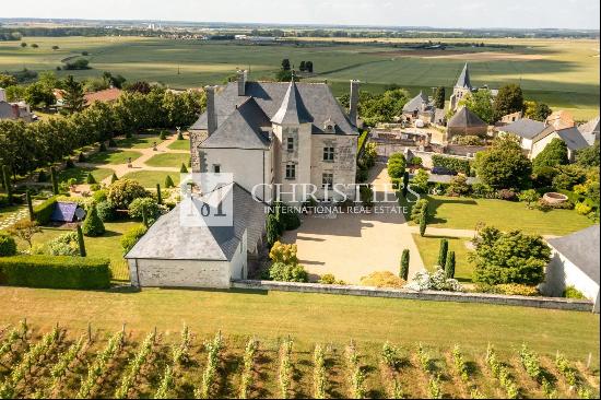 Magnificent manor with extensive park and vineyard