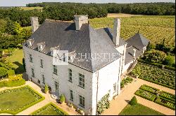 Magnificent manor with extensive park and vineyard