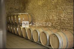 Attractive hobby vineyard estate for sale with 1 ha AOC Médoc