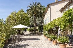 Cannes backcountry - Old mill with olive grove