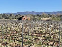 PDO CÔTES DE PROVENCE WINE-GROWING ESTATE