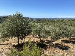 SUBLIME AGRICULTURAL PROPERTY IN PROVENCE