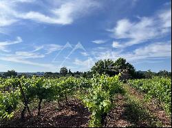 A PRODUCTION TOOL AT THE HEART OF THE CoTES DE PROVENCE GOLDEN TRIANGLE