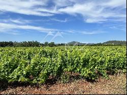 A PRODUCTION TOOL AT THE HEART OF THE CoTES DE PROVENCE GOLDEN TRIANGLE