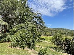 OPPORTUNITY TO SEIZE! - VINEYARD PROPERTY GULF OF SAINT-TROPEZ