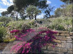 OPPORTUNITY TO SEIZE! - VINEYARD PROPERTY GULF OF SAINT-TROPEZ