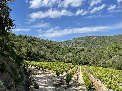 OPPORTUNITY TO SEIZE! - VINEYARD PROPERTY GULF OF SAINT-TROPEZ