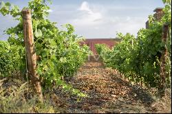 A VINEYARD ESTATE IN THE FAUGÈRES APPELLATION