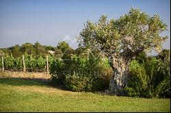 A VINEYARD ESTATE IN THE FAUGÈRES APPELLATION