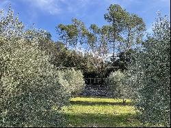 CHARMING BASTIDE IN THE HEART OF THE CÔTES DE PROVENCE AREA