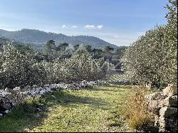 CHARMING BASTIDE IN THE HEART OF THE CÔTES DE PROVENCE AREA