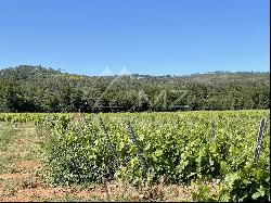 PDO CoTES DE PROVENCE WINE-GROWING ESTATE