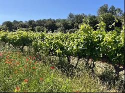 PDO CoTES DE PROVENCE WINE-GROWING ESTATE