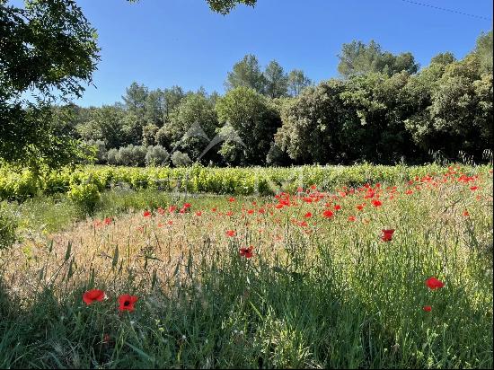 PDO CoTES DE PROVENCE WINE-GROWING ESTATE