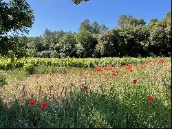 PDO CoTES DE PROVENCE WINE-GROWING ESTATE