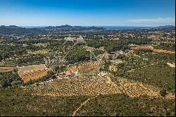 THE STANDING OIL AND WINE ESTATE - PDO BANDOL