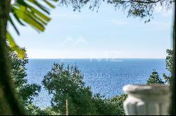 Cap d'Ail - Apartment with garden and splendid sea view