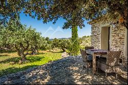 Gordes - Beautiful renovated farmhouse with open view