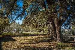 Gordes - Old 19th century farm to renovate