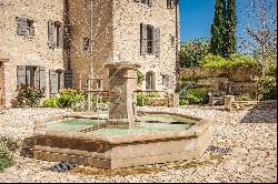 Splendid Property in Luberon