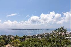 Cannes-Californie- amazing apartment on last floor with sea view