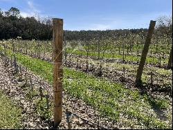 LUXURY WINE TOURISM ESTATE IN THE VAR