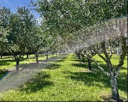 LUXURY WINE TOURISM ESTATE IN THE VAR