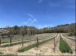 LUXURY WINE TOURISM ESTATE IN THE VAR