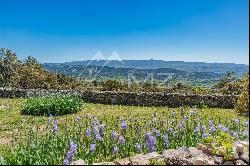 Authentic 17th century farmhouse in Luberon