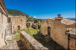 Authentic 17th century farmhouse in Luberon