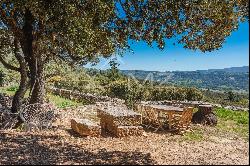 Authentic 17th century farmhouse in Luberon