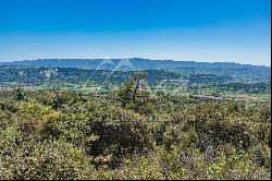 Authentic 17th century farmhouse in Luberon