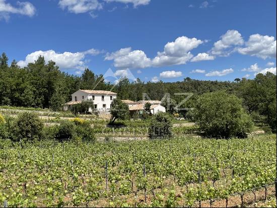 CHARMING LITTLE CONFIDENTIAL ORGANIC VINEYARD ESTATE