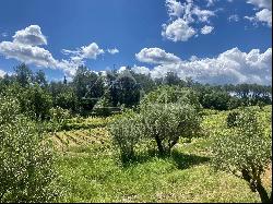 CHARMING LITTLE CONFIDENTIAL ORGANIC VINEYARD ESTATE