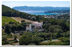 Saint-Cyr-sur-Mer, Provençal Château In the heart of the  vineyards