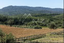 Stone farmhouse