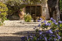 Elegant bastide overlooking the Cannes countryside