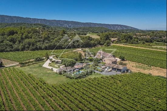 Menerbes - Provencal farmhouse with swimming pools