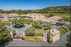 Ménerbes - Provencal farmhouse with swimming pools