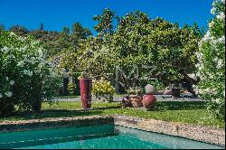 Ménerbes - Provencal farmhouse with swimming pools