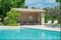 Amazing Property in provence