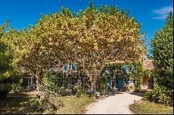 Charming and typical farmhouse in Provence