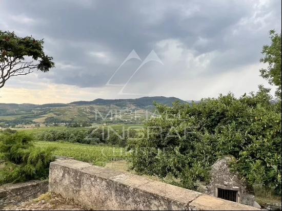 RARE- BEAUJOLAIS vineyard estate