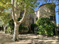 Landmarked Castle and its private park, between Uzès and Nîmes