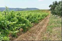 Renowned VINEYARD property in CORBIERES-BOUTENAC 375 ha including 90ha in VINEYARDS