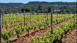 Elegant vineyard property AOP of the Languedoc 38 ha with modern cellar and house